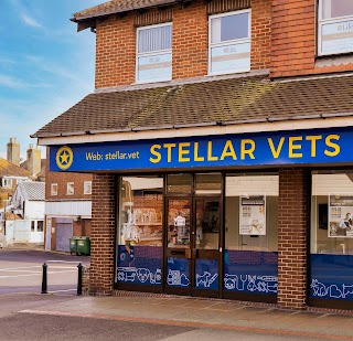 Stellar Vets Littlehampton