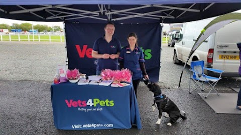 Vets4Pets - Lisburn