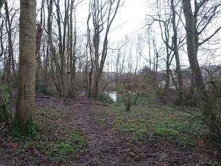 Silver Street Local Nature Reserve