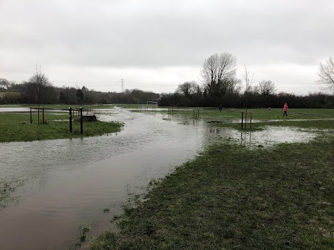 River Darent, Westminster Fields