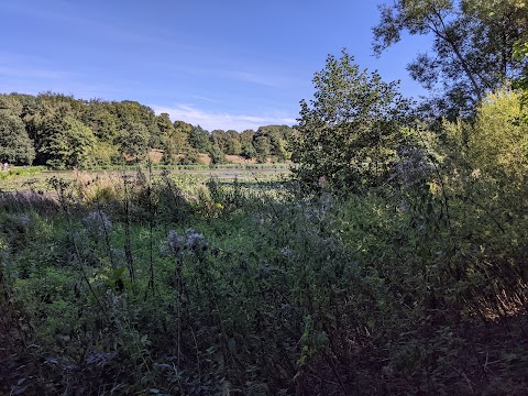 Hardwick Park ( Ponds )