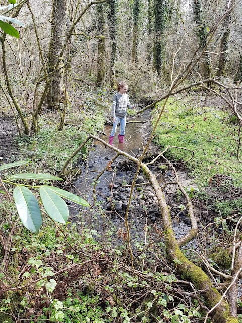 Fairwood Pool