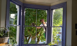 Carlos Window Cleaning