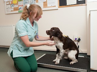 Medivet Bracknell Easthampstead – Kynoch Vets