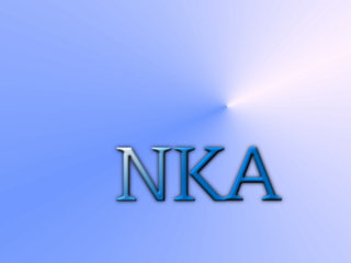 NKA Chartered Certified Accountants