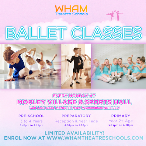 WHAM Theatre Schools - Wymondham