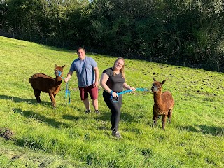 Naze View Farm