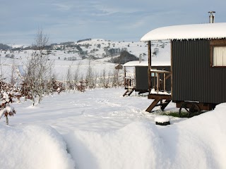 New Hanson Shepherd's Hut