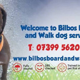 Bilbos Board & Walk Dog walking