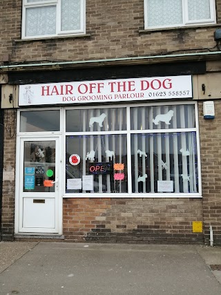 The Hair Off the Dog