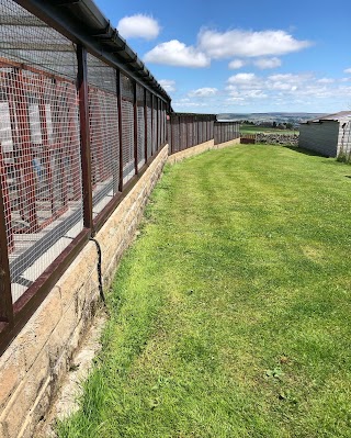 Oakworth Boarding Cattery