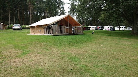 Cannock Chase Camping & Caravanning Club Site