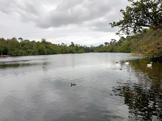 Black Park Country Park