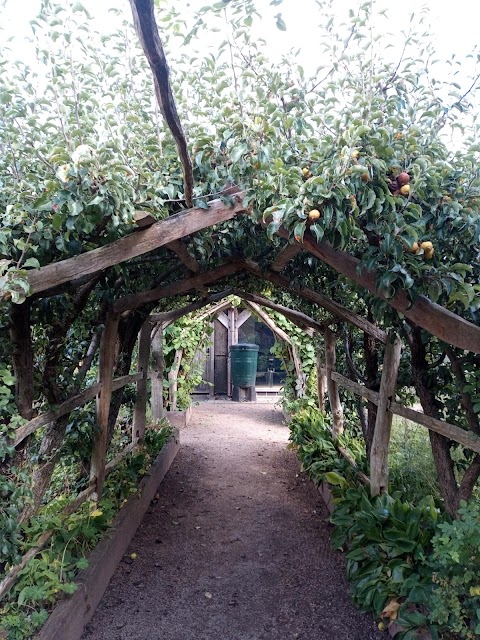 Shropshire Wildlife Trust