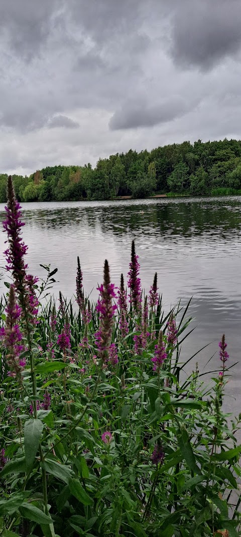 Daneshill Lakes