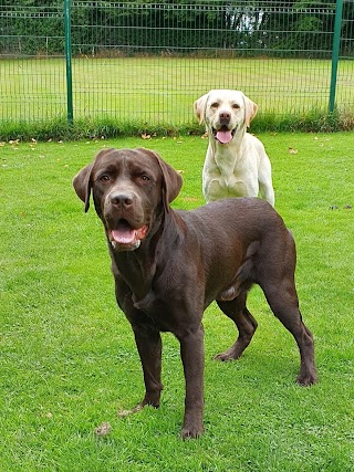 Fairway Boarding Kennels & Cattery