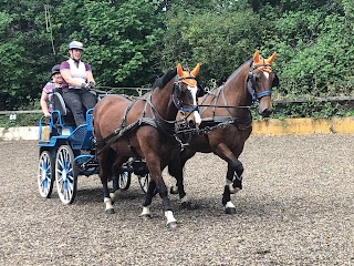 Plumtree School Of Equitation