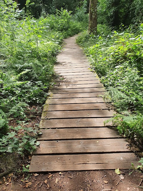 Hill Hook Nature Reserve