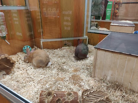 Pets at Home Farnham