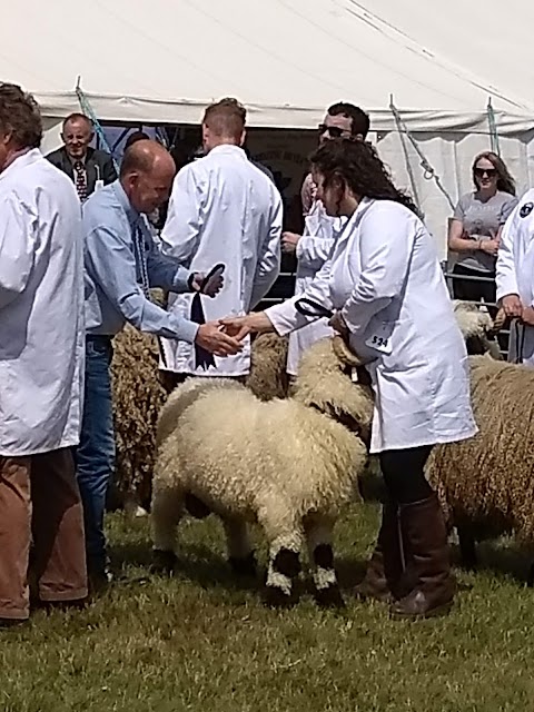 New Forest and Hampshire County Show