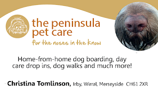 The Peninsula Pet Care