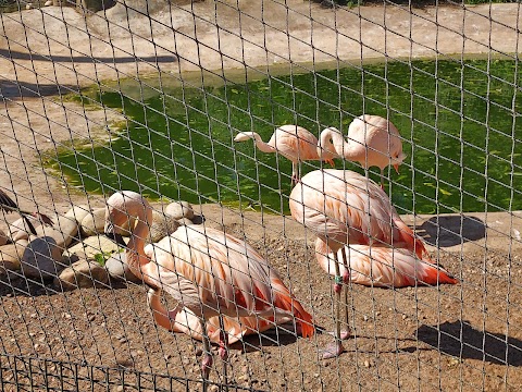 Lotherton Wildlife World