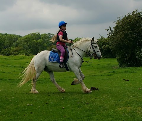 Castle Hill Riding School