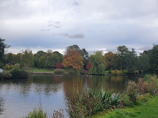 Aynsley Tearoom