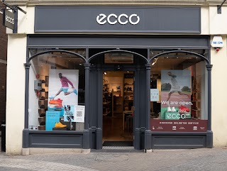 ECCO Windsor