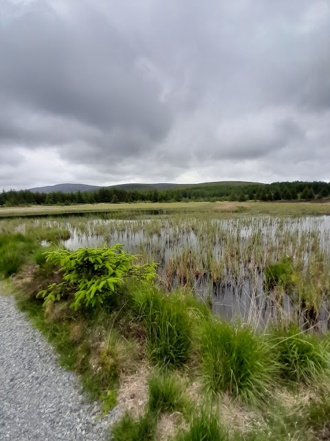 Yellow Water Picnic Site