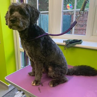 Pooch Parlour