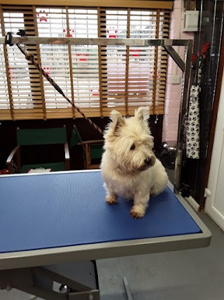 Pongo's Paws Dog Grooming Salon