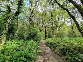 Clowes Wood Nature Reserve