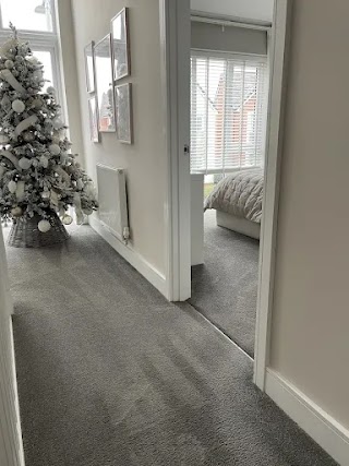 Professional carpet steam clean