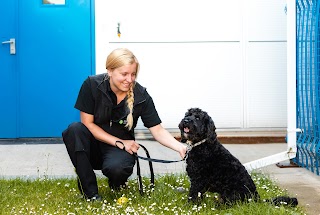 Campus Vets and Pets