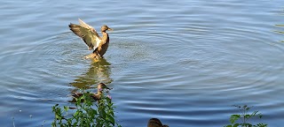 Hemsworth Water Park - Car Park