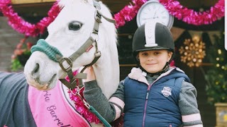 Middleton Livery Yard and Riding Tuition