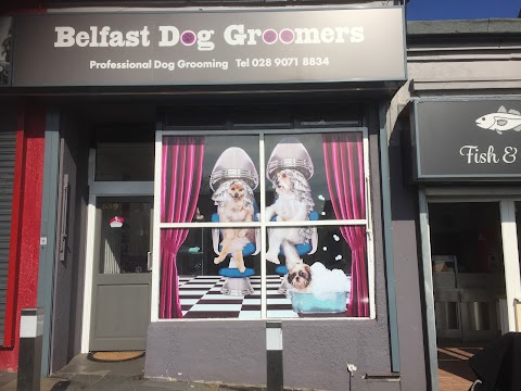 Belfast Dog Groomers North