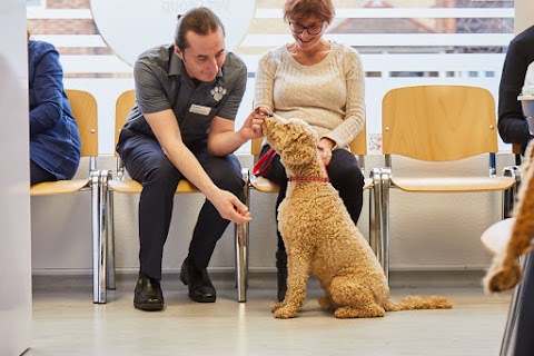 Best Friends Vet Group, Corby