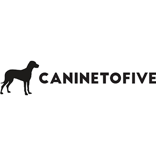 Dog Walking Loughton - Canine To Five