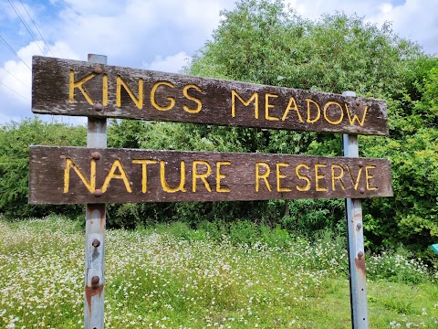 King's Meadow Nature Reserve