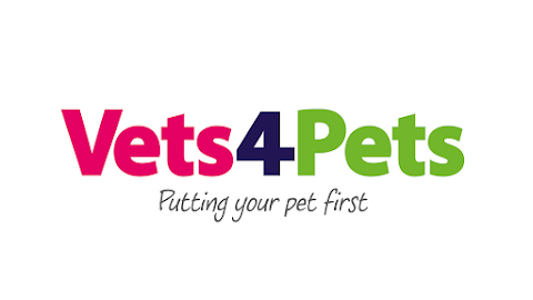 Vets4Pets Brighton