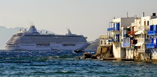 The Cruise Line