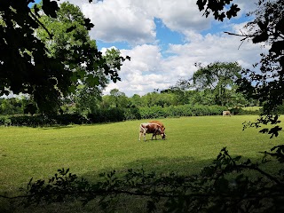 Fosse Meadows Country Park