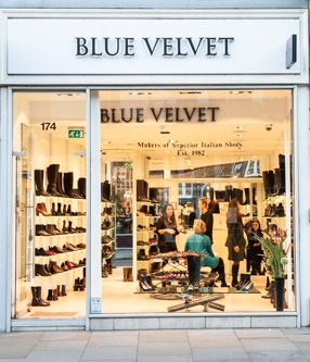 Blue Velvet Shoes