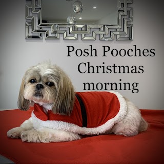 Posh Pooches Dog Grooming Salon & Spa