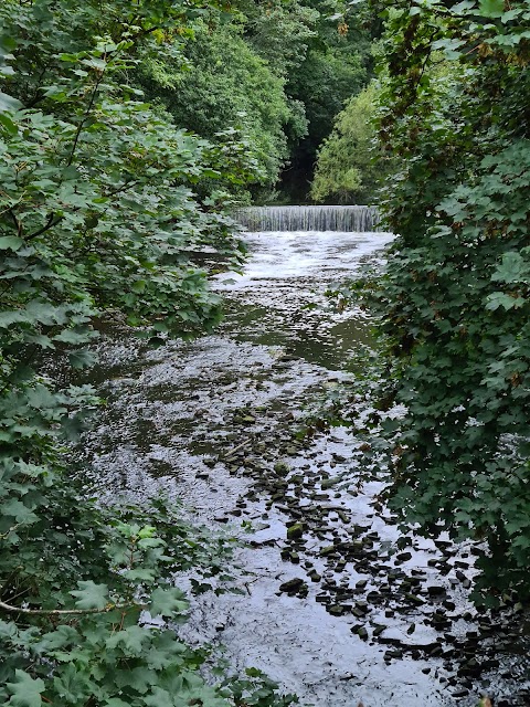 Haughton Dale Nature Reserve