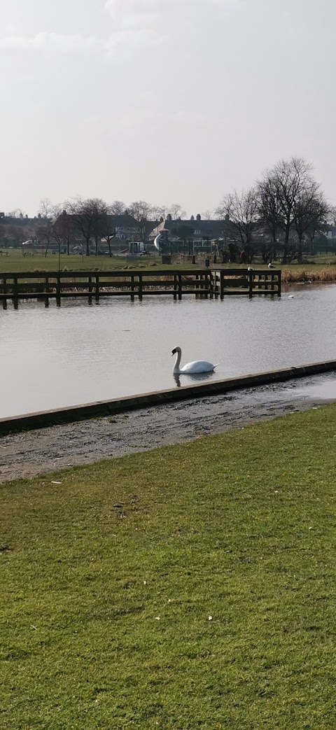 Wildlife Pond