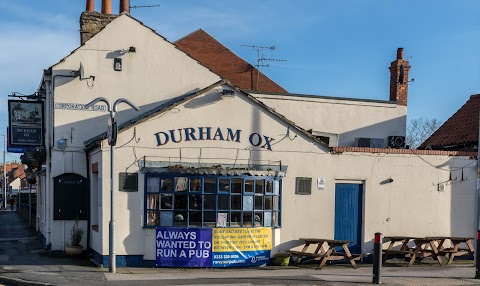 Durham Ox