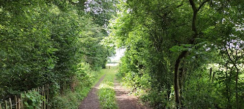 Gowy Meadows Nature Reserve